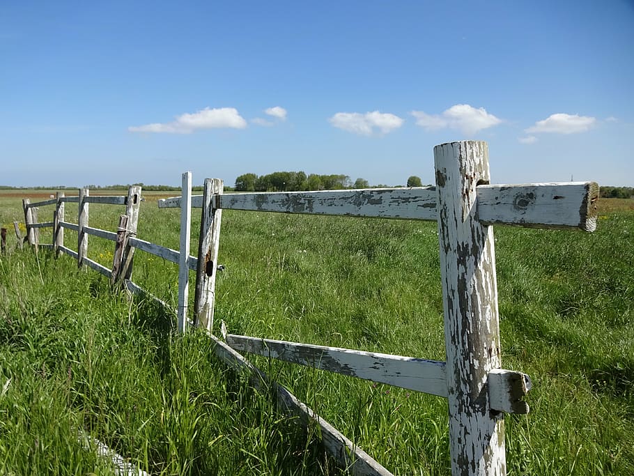 fence, dyke, blue sky, grass, field, plant, boundary, barrier HD wallpaper