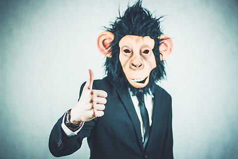 person wearing brown and black money mask and black suit jacket HD wallpaper