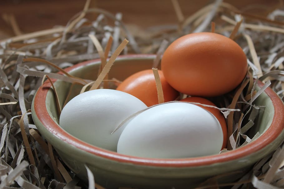 food, eggs, nesting material, straw, desktop, hens egg, easter HD wallpaper