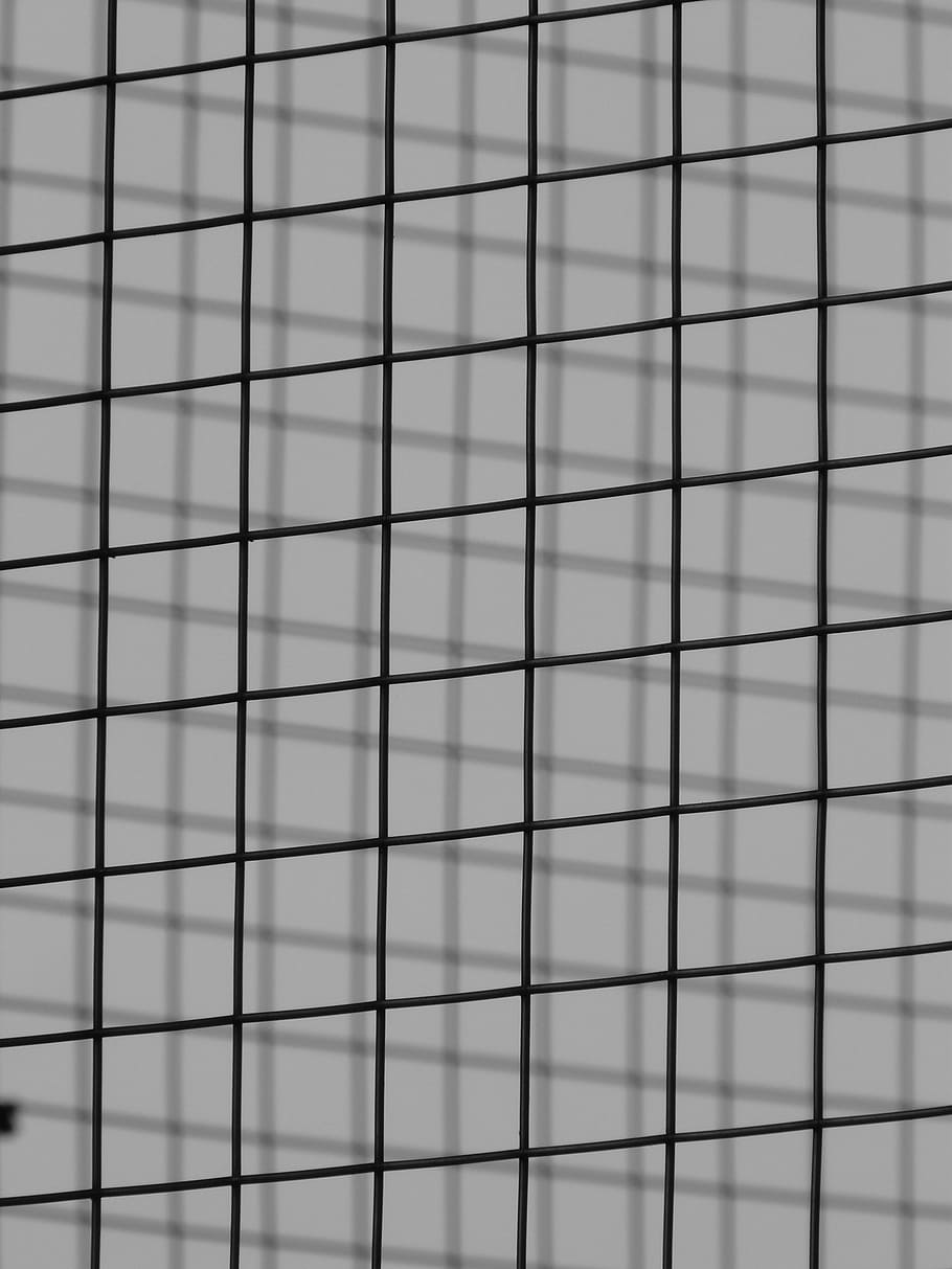 grid, steel grid, metal, wire, black and white, architecture