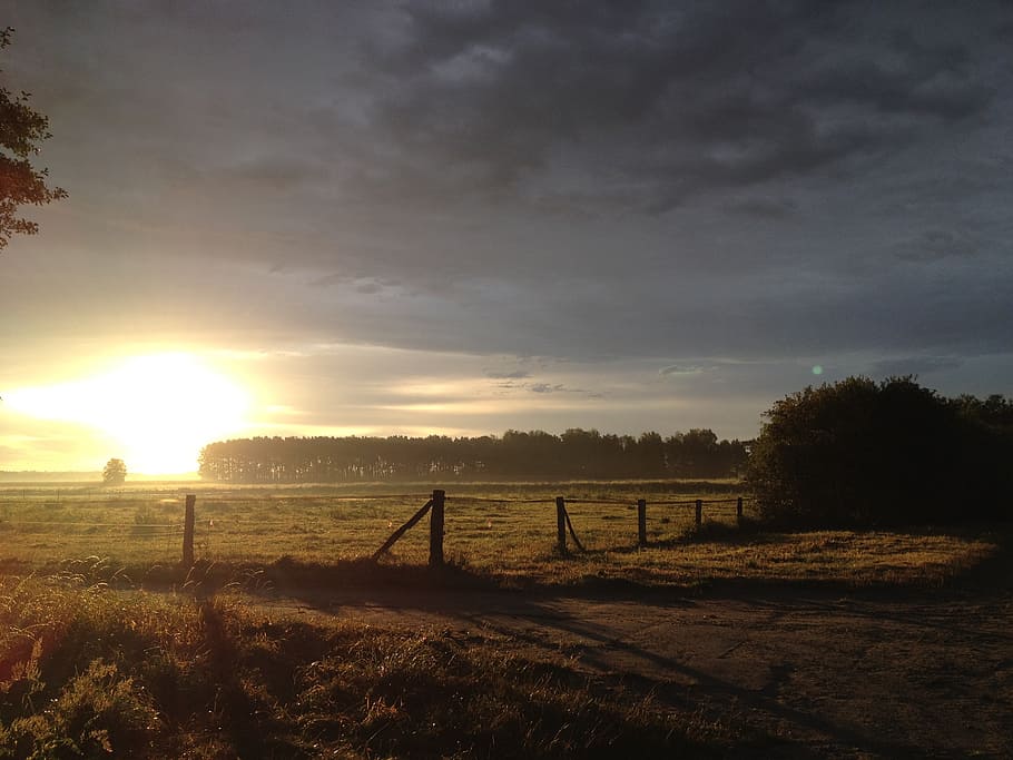 landscape, germany, evening, sun, reported, sunrise, sky, morning HD wallpaper