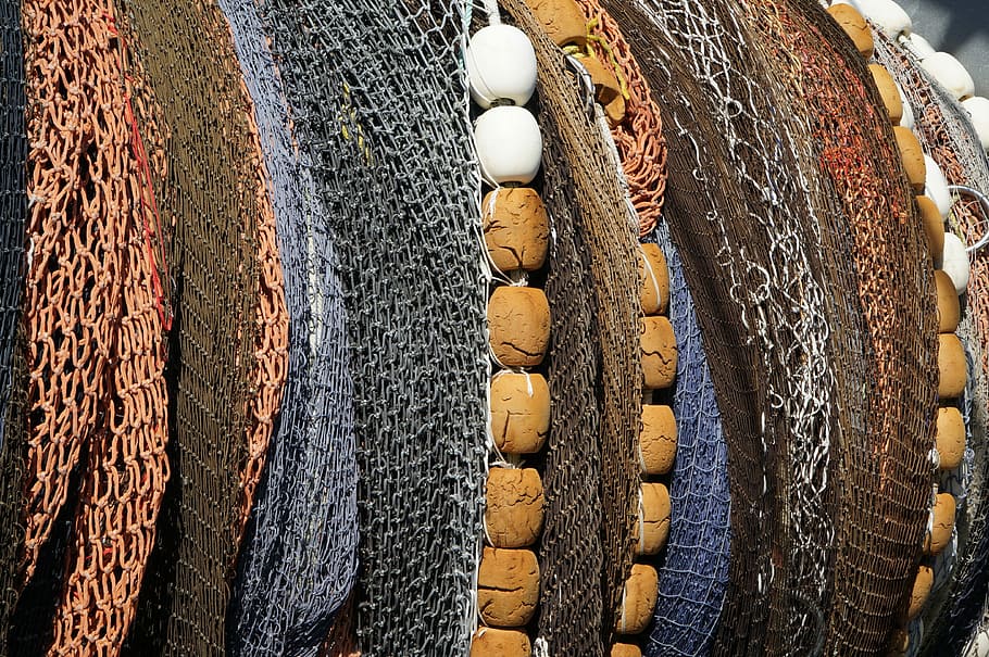 Fish, Net, Float, Catch, Fishing, commercial, industry, outdoor HD wallpaper