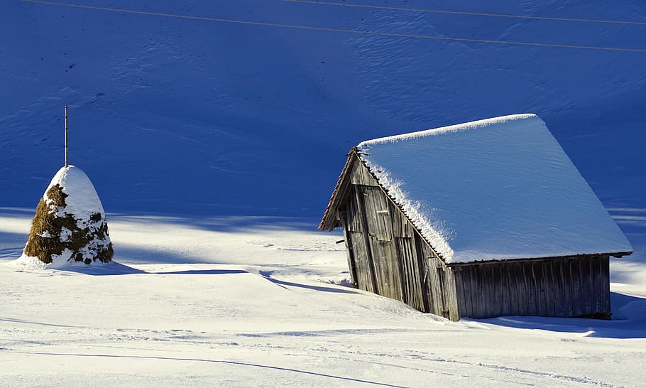 Winter, Barn, Snow, Scale, Wood, log cabin, nature, rural, old HD wallpaper