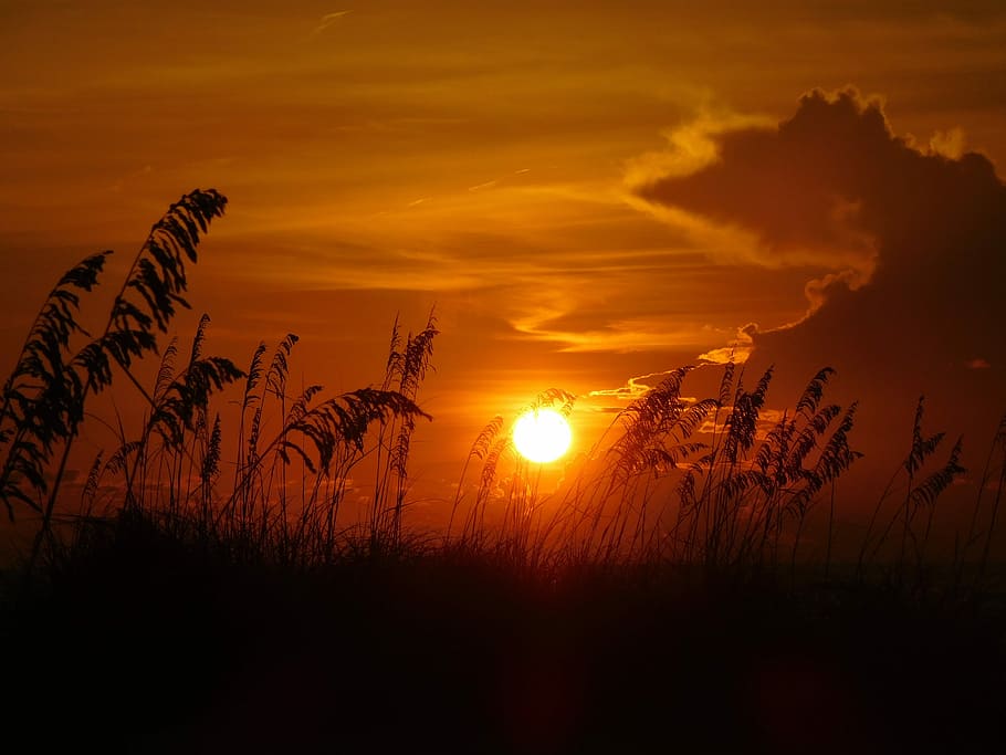 Sunset, Evening, Beach, Sunlight, beach sunset, sunset sky HD wallpaper