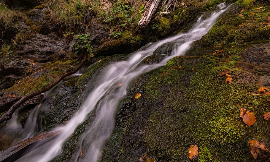 stream, water, green, moss, leaf, fall, nature, grass, waterfall HD wallpaper