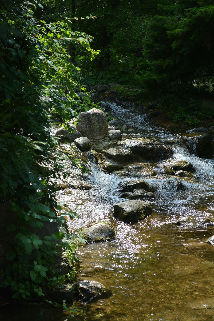water, nature, forest, tree, summer, day, hell, waterfall, bach HD wallpaper