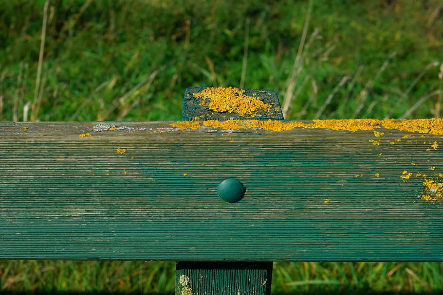 fence, pile, moss, pasture, wood, post, fence post, wooden posts HD wallpaper