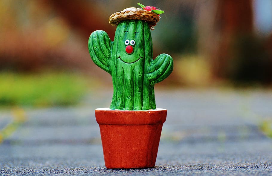 cactus, straw hat, face, funny, cute, funny face, decoration HD wallpaper