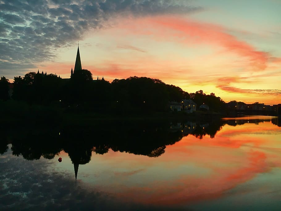 silhouette of trees during dawn, norway, trondheim, nidarosdomen, HD wallpaper