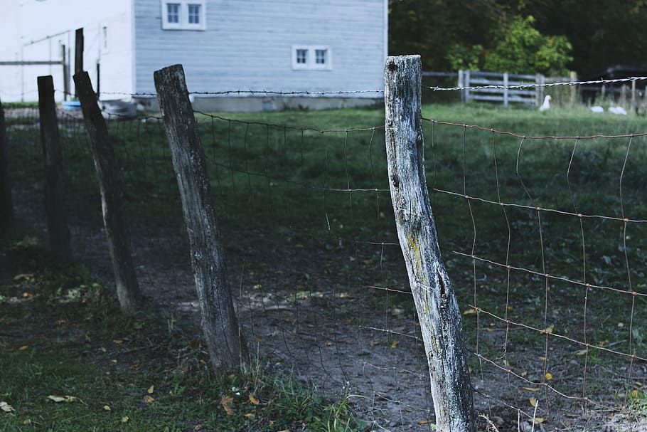 white concrete house, closeup photo of brown post fence, wire HD wallpaper