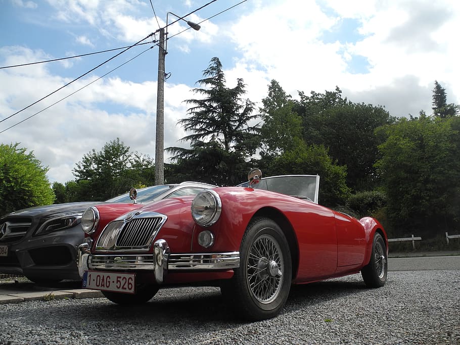 old car, red bodywork, mg, tree, mode of transportation, land vehicle, HD wallpaper