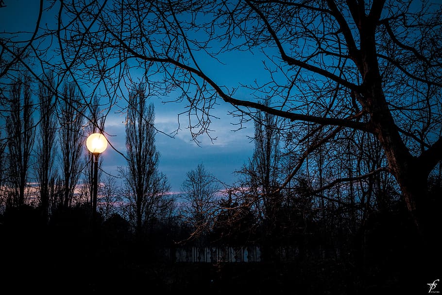 spring, evening, nature, landscape, sunset, horizon, dark, outdoors HD wallpaper