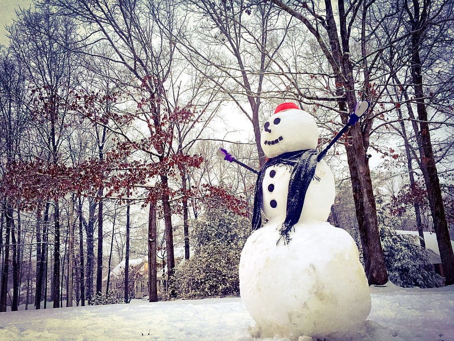 snowman under bare trees, Winter, Snowfall, cold, white, landscape HD wallpaper