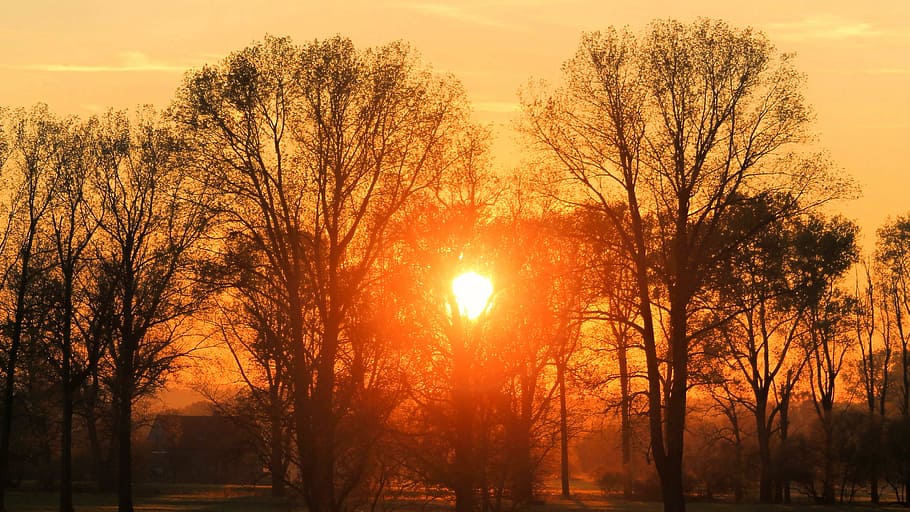 sunset, landscape, trees, silhouette, evening sky, twilight HD wallpaper
