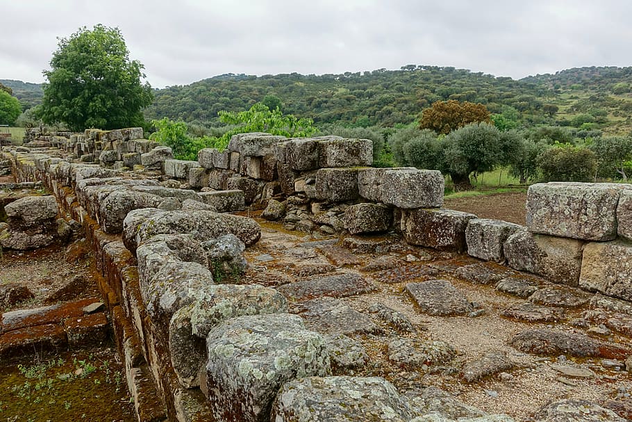 surrounded by trees battlements, stone wall, blocks, broken HD wallpaper