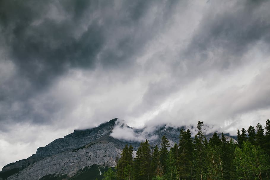 gray rocky mountain near green trees under white clouds, sea of clouds on mountain HD wallpaper