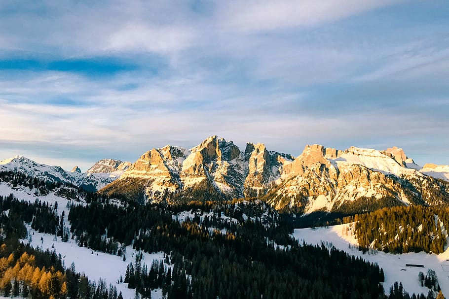 brown rocky mountain and pine trees, landscape photo of brown mountain HD wallpaper