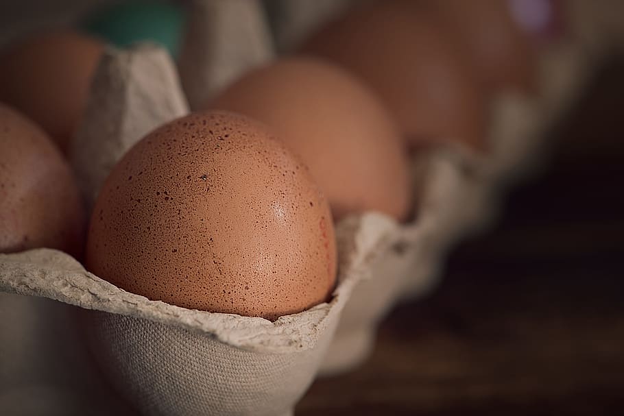 selective focus photography of brown eggs on tray, chicken eggs HD wallpaper
