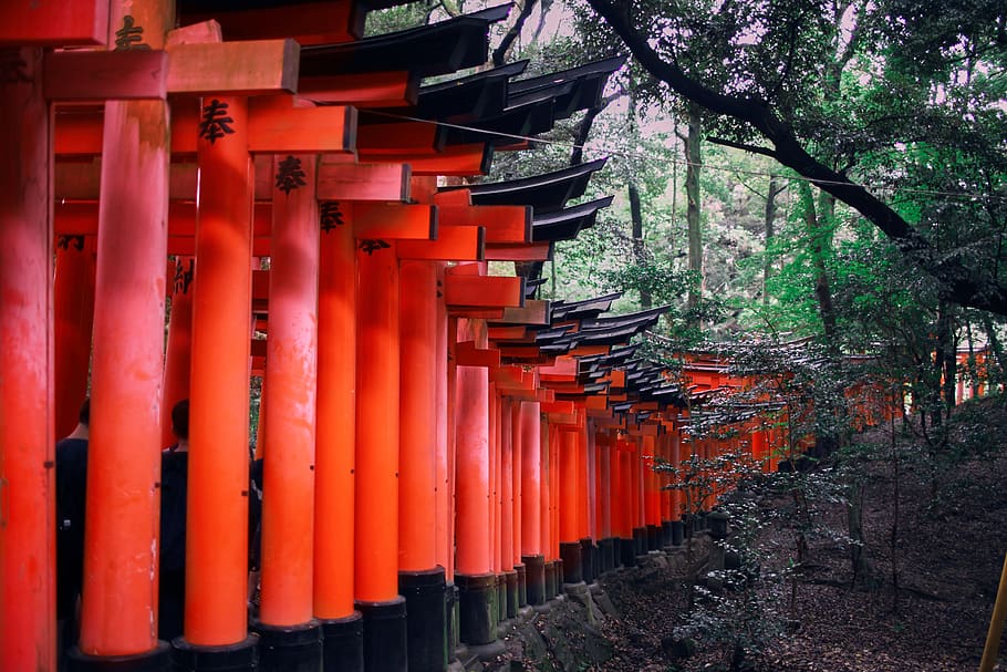 japan, religion, temple, japanese, landmark, travel, traditional