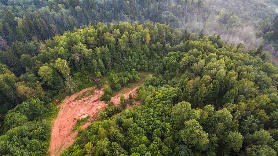 bird's eye view of green trees, aerial view of landslide on forest