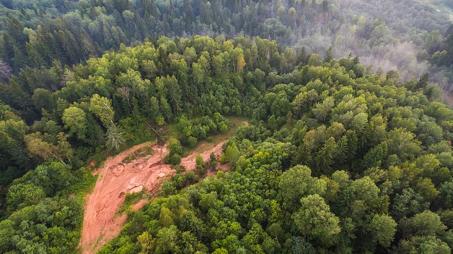 bird's eye view of green trees, aerial view of landslide on forest HD wallpaper