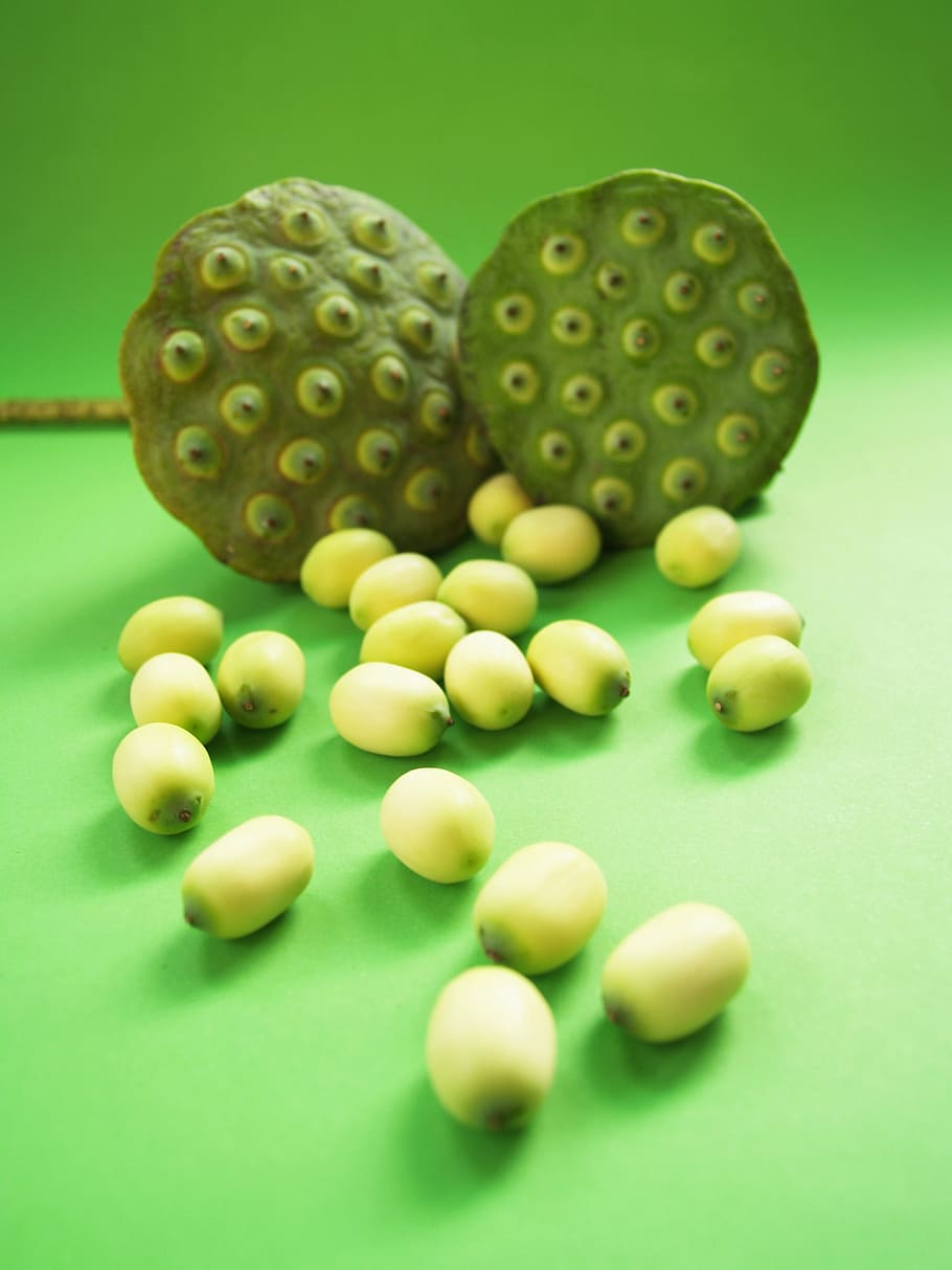 lotus, seed, flower, leaf, pod, indian, closeup, isolated, produce HD wallpaper