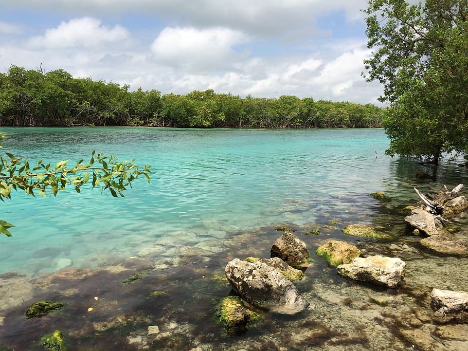 beach, mar, cancun, mexico, water, plant, cloud - sky, tranquility HD wallpaper
