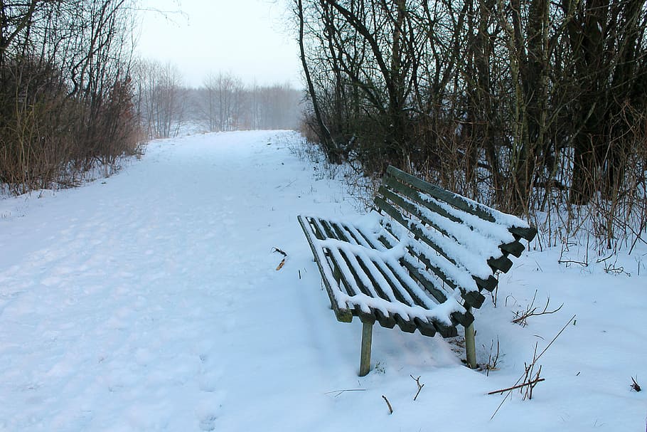 bench, snow, snowy bench, path, natural, old bench, winter HD wallpaper