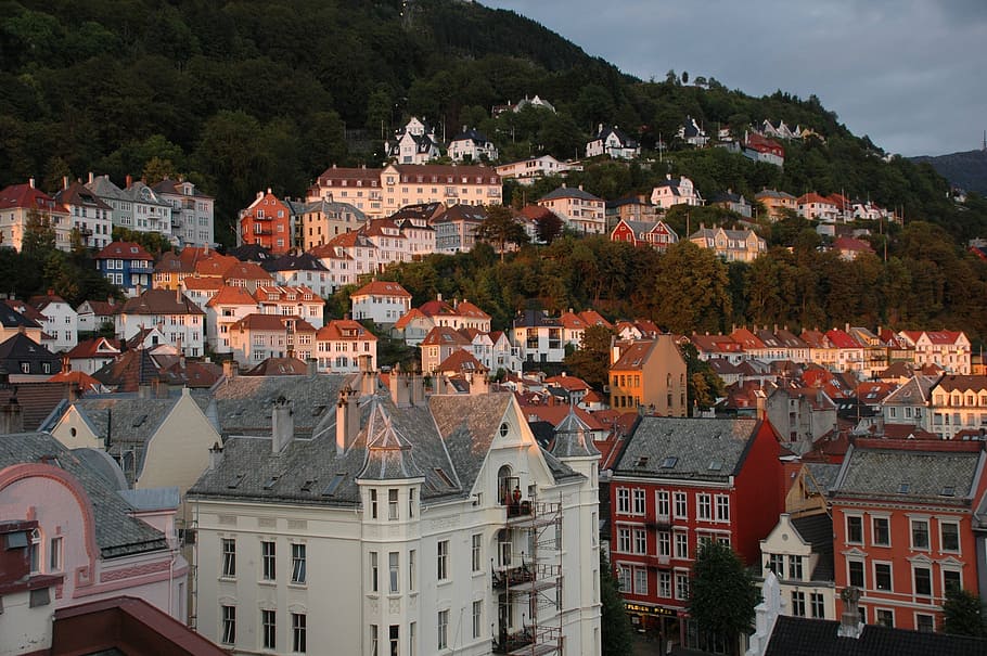 aerial photography of city near mountain, norway, bergen, wing HD wallpaper