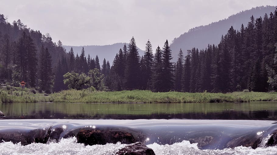 wilderness at daytime, body of water near tall trees landscape photography HD wallpaper