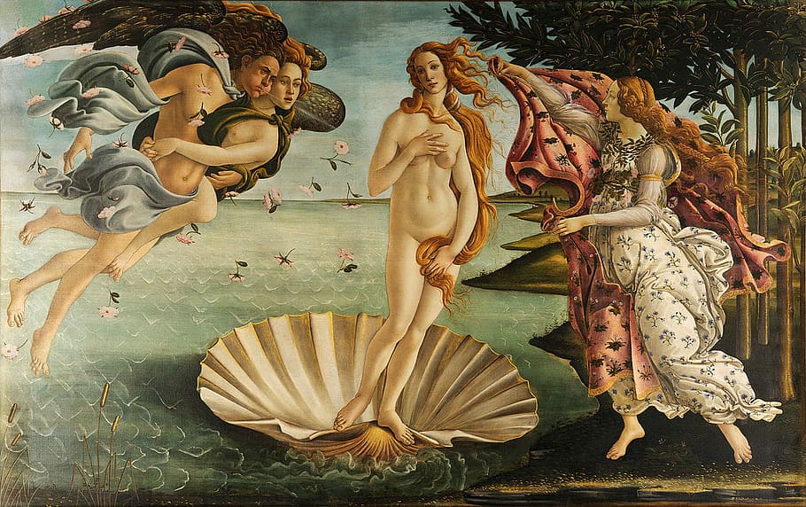 Birth of Venus, art, florence, photo, goddess, italy, painting