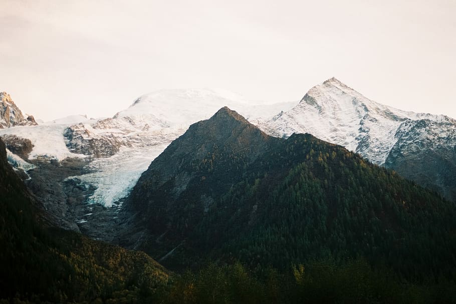 snow covered mountain, snow mountain, rock, tree, forest, scenics - nature HD wallpaper