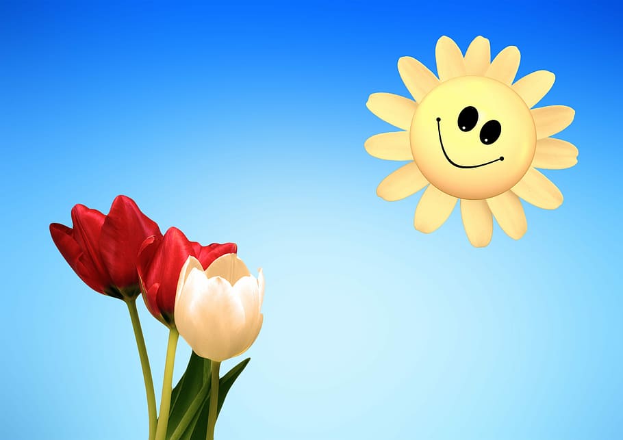 red and white tulips and sun illustration, smile, smiley, spring HD wallpaper