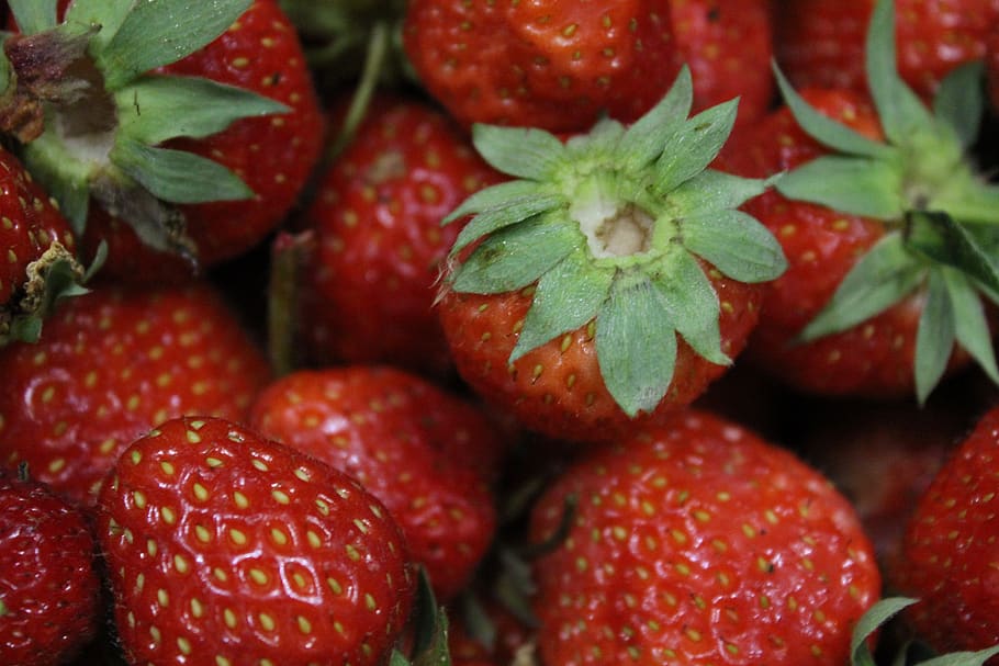 summer, berry, strawberry, red, food and drink, healthy eating HD wallpaper