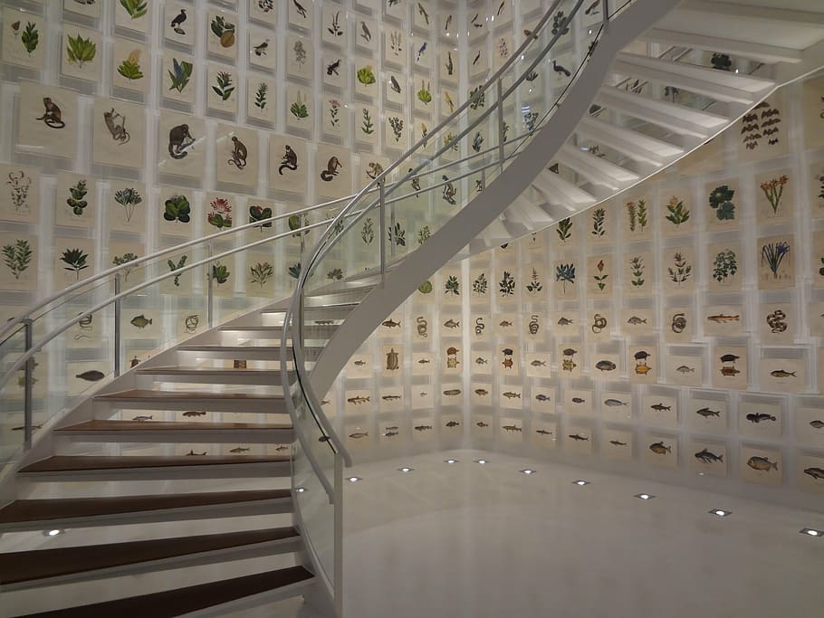 staircase, brazilian collection, instituto itaú cultural, são paulo, HD wallpaper