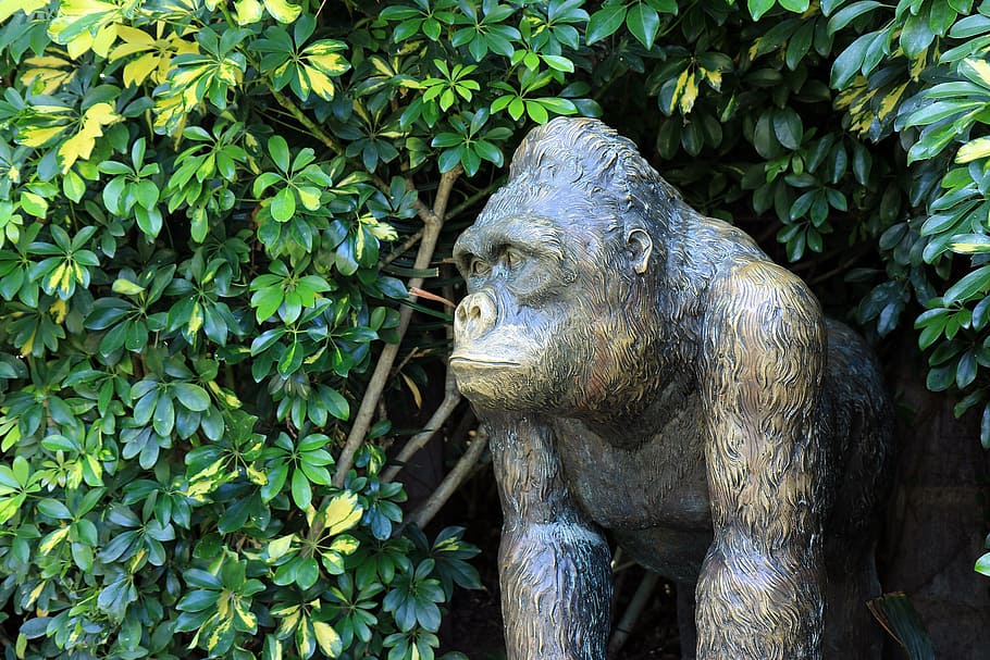 Gorilla, Monkey, Sculpture, Zoo, Animal, fauna, zoological garden HD wallpaper