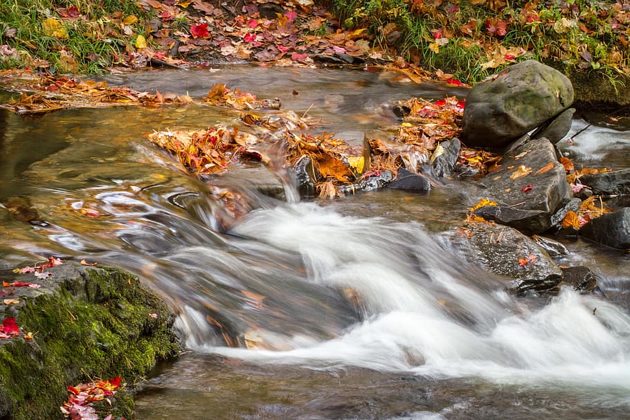 Water, Flowing, Leaves, Fall, rock - object, stream - flowing water HD wallpaper