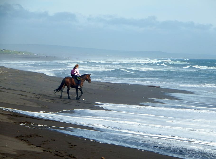 woman riding brown horse on beach during daytime, Pacific Ocean HD wallpaper