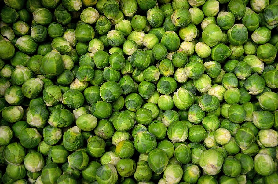 pile of green cabbages, brussels sprouts, grocery, brassica oleracea HD wallpaper