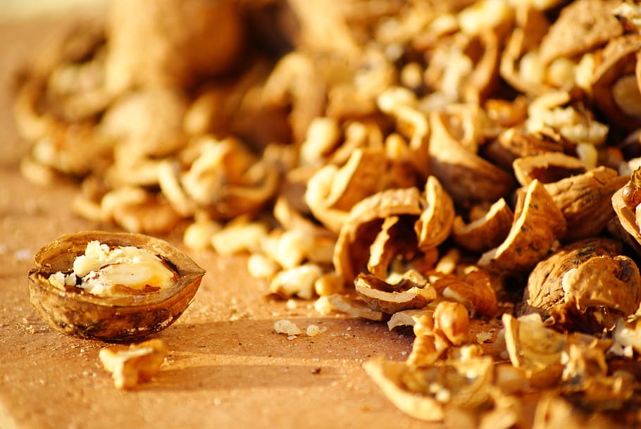 selective focus photography of walnut, walnuuesse, nutshell HD wallpaper