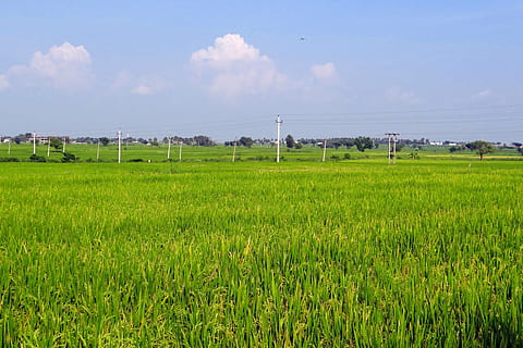 Free download | HD wallpaper: Landscape Terasasti Fields With Rice Mu ...