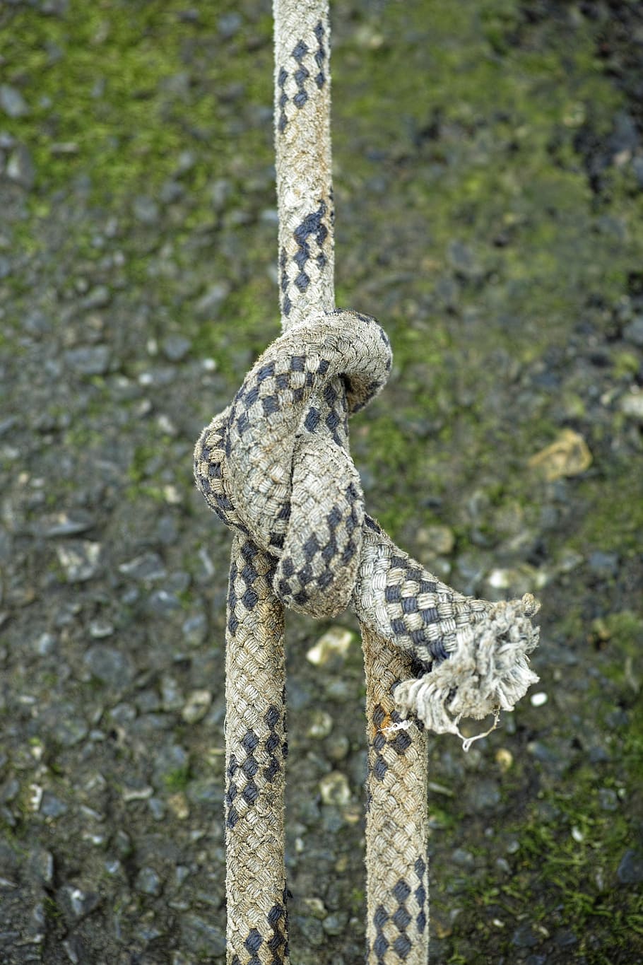 rope, node, old, maritime, macro, detail, close, background HD wallpaper
