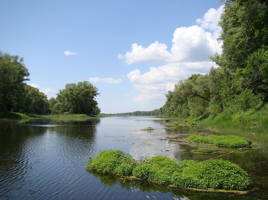 Duct, Water, River, Trees, Greens, the islet, sun, bright, sky HD wallpaper