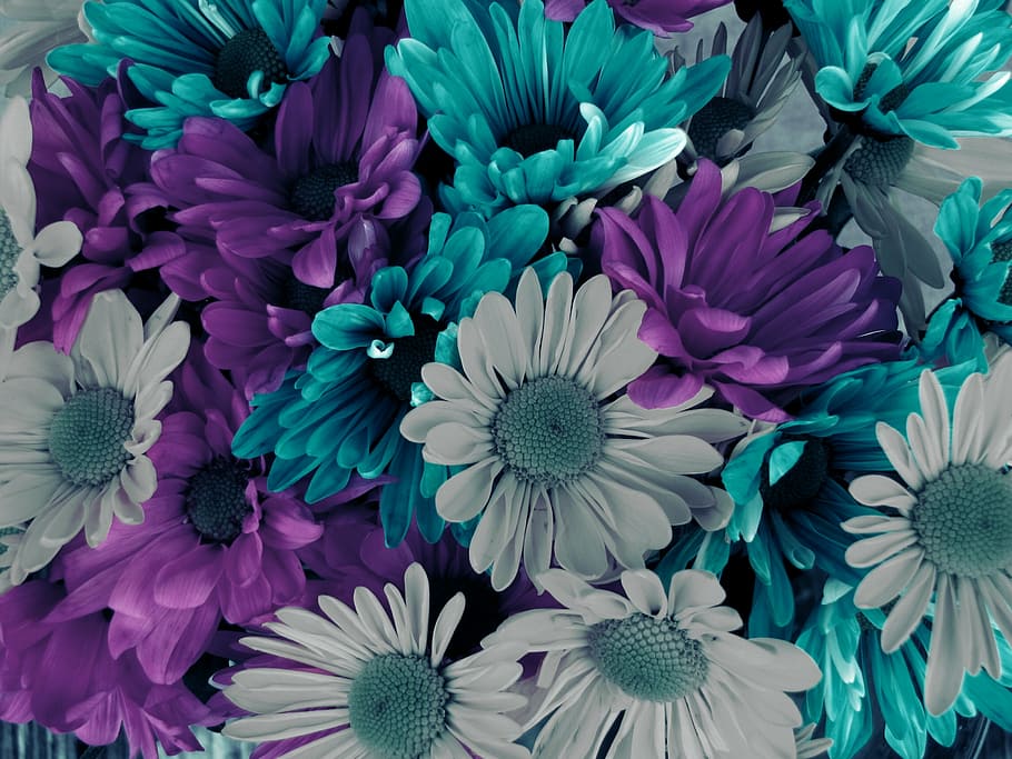 Teal Flower Background Images  Browse 15481 Stock Photos Vectors and  Video  Adobe Stock