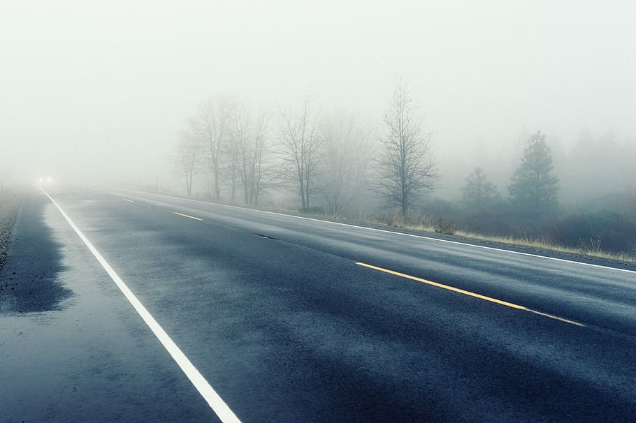 concrete road near trees, black, fog, gray, roads, white, winter