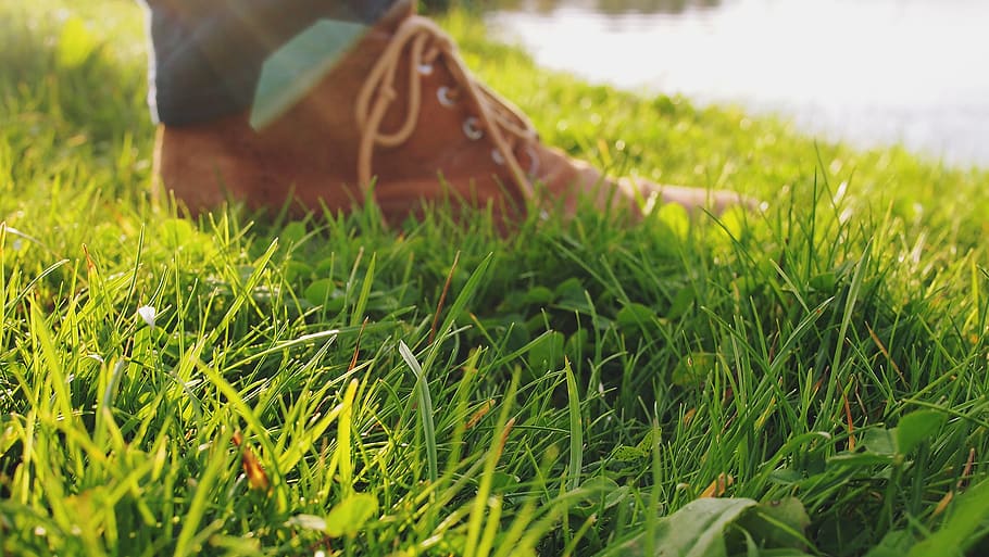 shoes, grass, ground, plant, green color, field, one person HD wallpaper