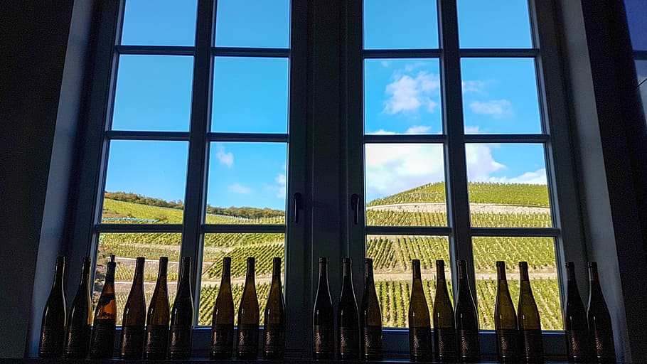 window, view, mountains, wine, vineyard, nature, landscape, HD wallpaper