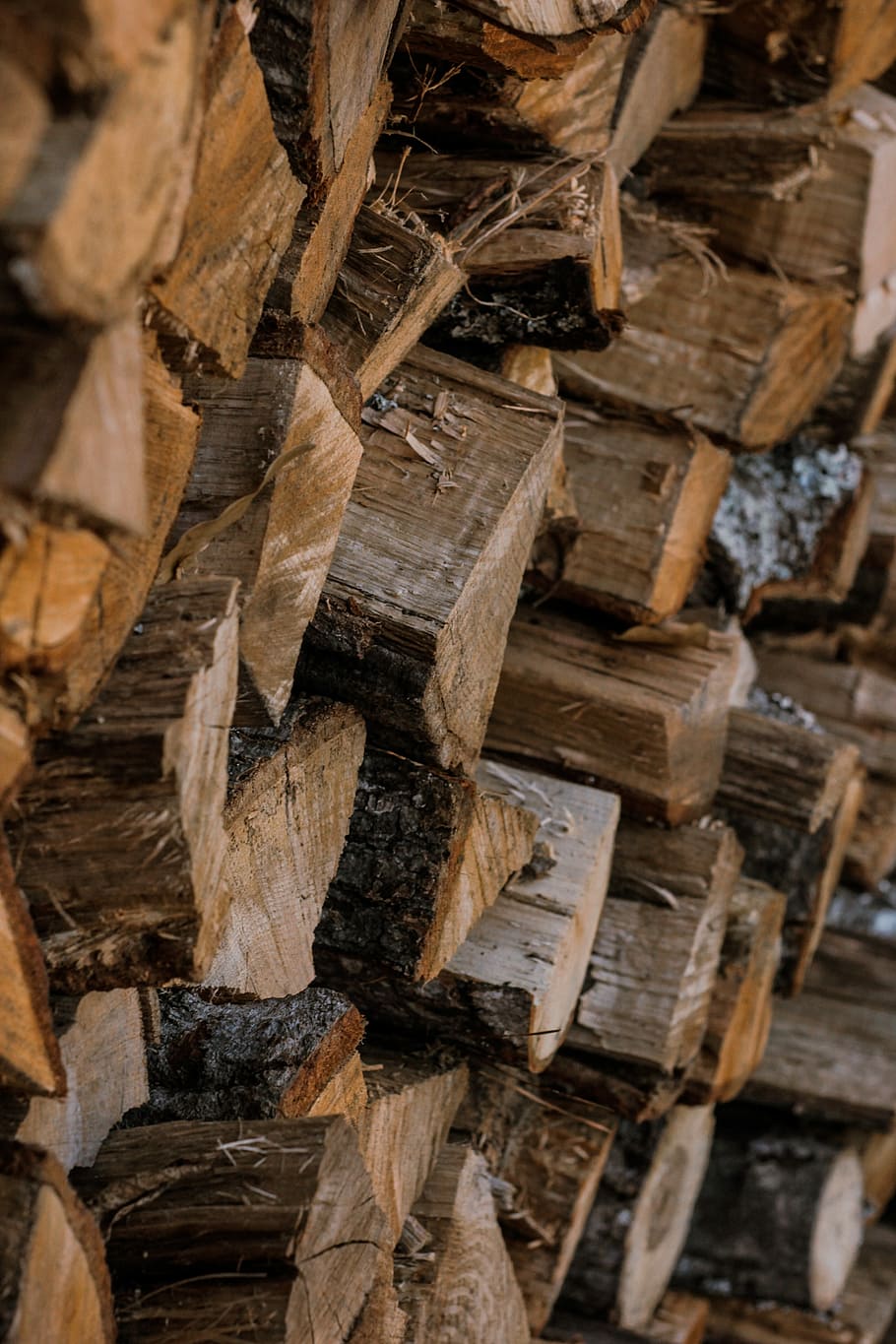 brown firewood, firewood cord closeup photography, full frame HD wallpaper