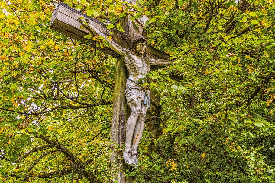jesus, cross, bavaria, tree, autumn, overgrown, symbol, church HD wallpaper