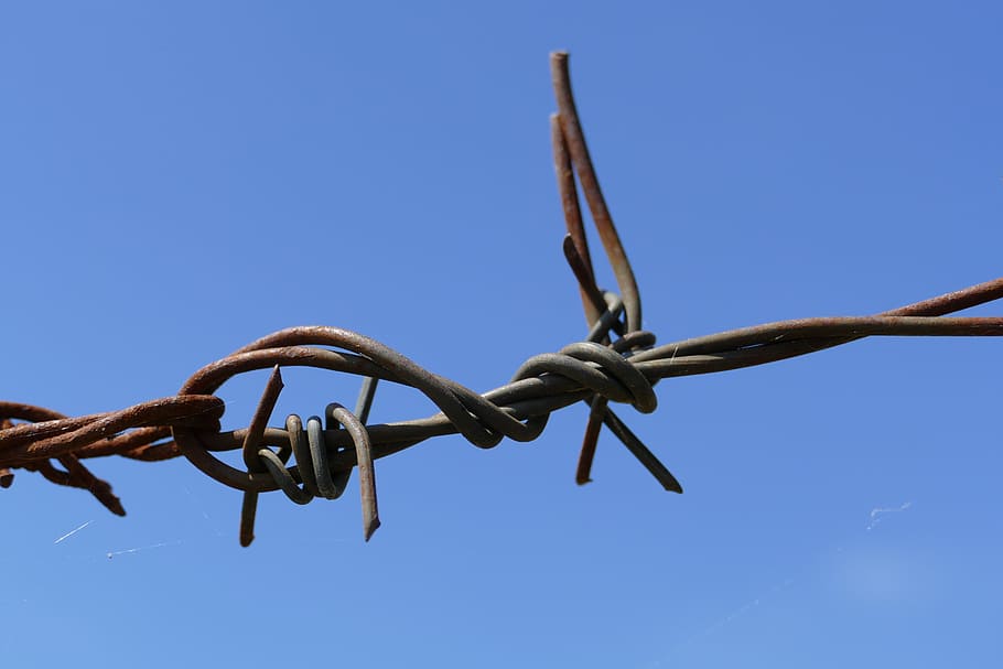 barbed wire, knot, sharp, caught, rust, obstacle, metal, safety HD wallpaper